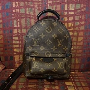 Louis Vuitton Monogram Palm Springs Mini Backpack